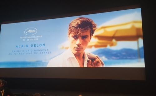 alain delon,cinéma,monsieur klein,la piscine plein soleil,le clan des siciliens,le guépard