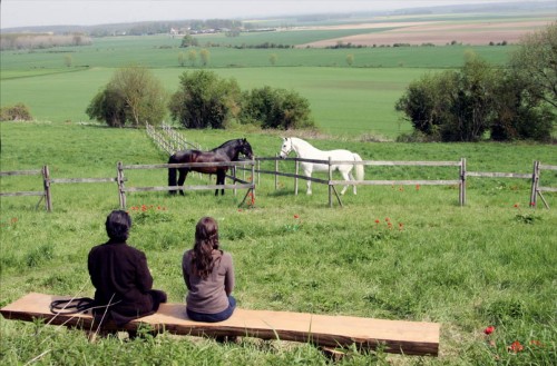 concours,cinéma,film,mathilde seigner,joeystarr,max,stéphanie murat,thierry ardisson