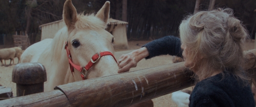 critique,film,cinéma,documentaire,bardot,brigitte bardot,critique de bardot de elora thévenet et alain berliner,paul watson,claude lelouch,gainsbourg,madame monsieur,laurent perez del mar,nicolas bary,timpelpictures