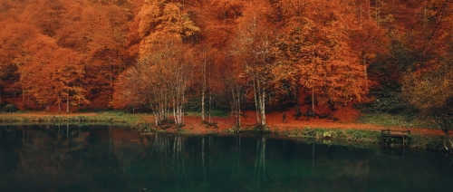 télévision,documentaire,critique,voir l'automne une saison en france,jérémy frey,france télévisions,yann arthus-bertrand,cinéma