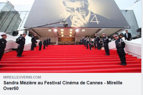 Article livre Festival de Cannes.png