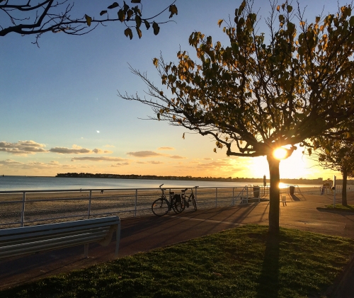 labaule201721.JPG