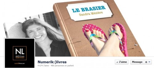 numeriklivres2.jpg