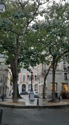 rue de furstenberg.jpg