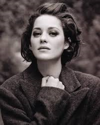 cotillard.png