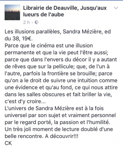 écriture,littérature,salon du livre de paris,salon de livre de paris 2018,écrivain,romancière,livre,dédicace,cinéma,les illusions parallèles,l'amor dans l'âme,paris