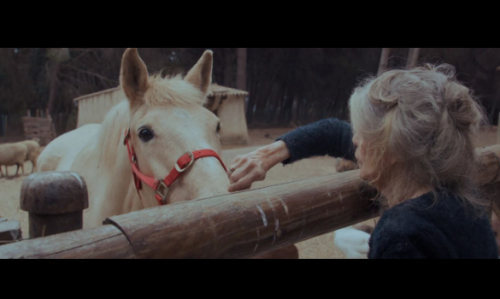 critique,film,cinéma,documentaire,bardot,brigitte bardot,critique de bardot de elora thévenet et alain berliner,paul watson,claude lelouch,gainsbourg,madame monsieur,laurent perez del mar