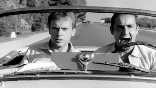 cinéma,festival,festival de cinéma,festival du film italien de patrimoine,ciak !,collinas,sardaigne,9 et 10 août 2025,dino risi,  Lina Wertmüller , Le Fanfaron, 