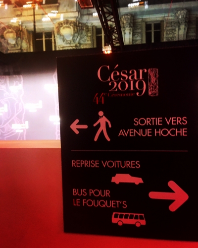 cinéma,césar 2019,robert redford,in the mood for cinema,jusqu'à la garde,les frères sisters,jacques audiard,karin viard,les chatouilles,léa drucker