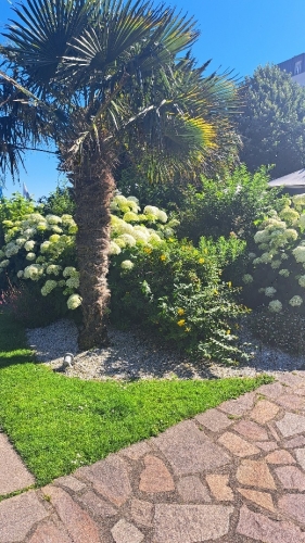 Castel22.jpg