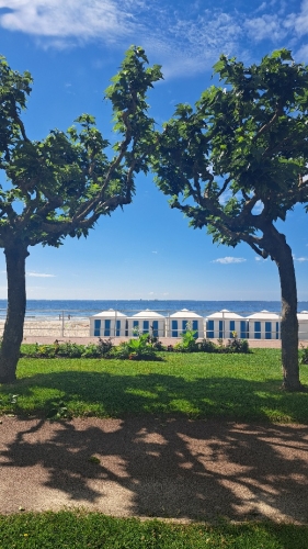 cinéma,la baule,festival du cinéma et musique de film de la baule 2025,11ème festival du cinéma et musique de film de la baule,lambert wilson,sam bobino,christophe barratier,zabou breitman,pierre richard,alex lutz,brigitte bardot,bardot,alain berliner,hôtel barrière l'hermitage la baule